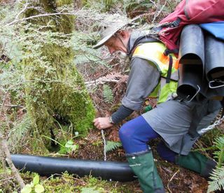 Bolting tunnels to tree