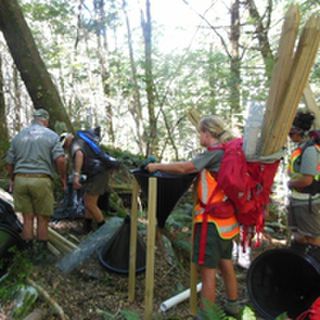 Setting up Beech Seed Funnels