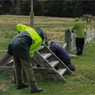 Hard at work