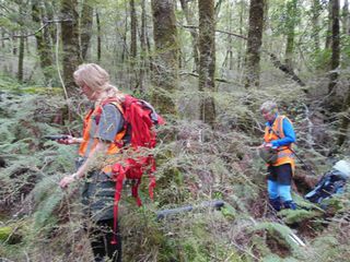 Bush Bashing!